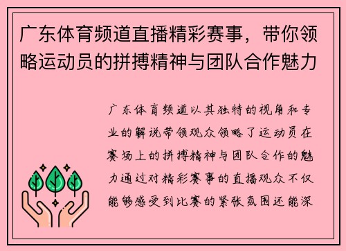 广东体育频道直播精彩赛事，带你领略运动员的拼搏精神与团队合作魅力